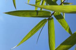 q为xdcfvfbgnmbn-爱游戏下载中心