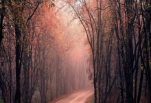 包含国际比赛日辽宁本钢备战社区盾，止住颓势细节曝光，压力陡增，医务组通报恢复的词条-爱游戏官网下载